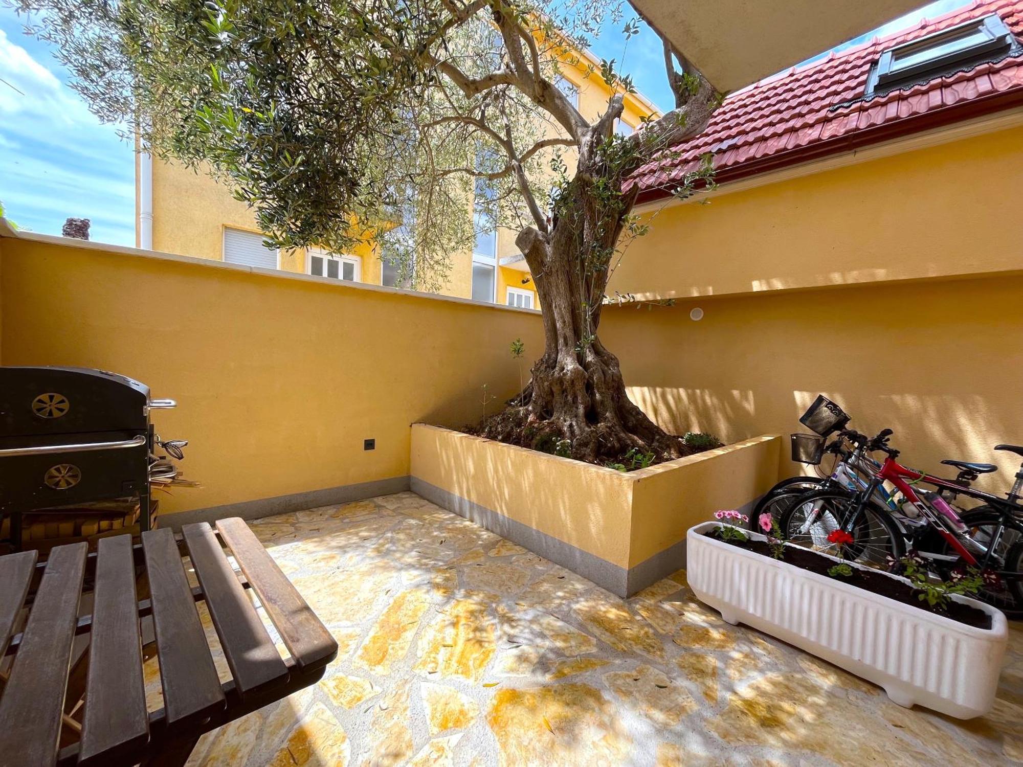 Olive Tree Apartamento Stari Grad  Exterior foto
